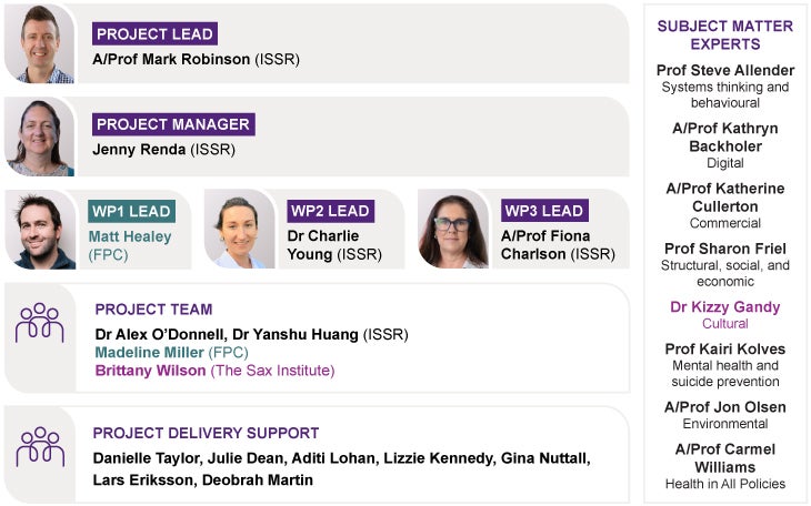 An organisational chart of the WDHMS project team. A text version of this structure is provided below.