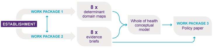 Project approach flow chart that progresses from establishment to Work packages one and two leading to a whole of health conceptual model and culminate in Work package 3 and the final policy paper